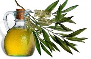 Essential oil from the tea tree